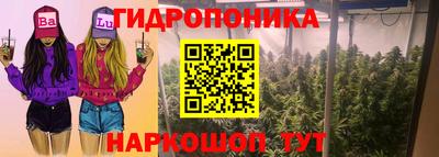 амф Краснодар