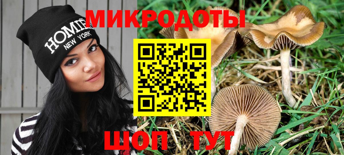 Псилоцибиновые грибы Cubensis Шарыпово