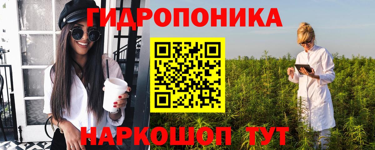 Конопля AK-47  Вход с VPN  Бошки Шишки семена  Шарыпово  Бошки марихуана SATIVA & INDICA 